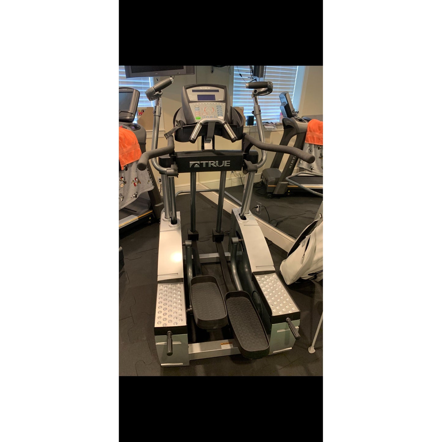 2008 TRUE ESX Elliptical